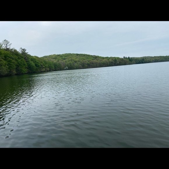 Meet your Posher, Fahima - Picture 1 of 1